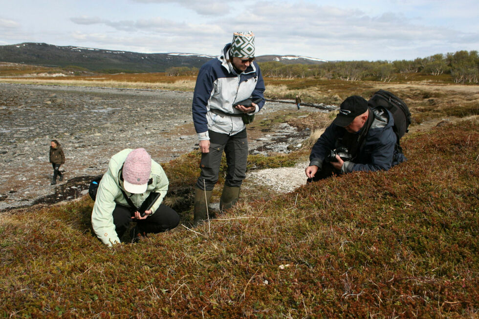 Her har Ingrid, Sissel og Roger funnet noe interessant.
 Foto: Anthon Sivertsen