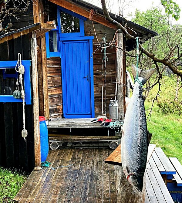 Brev fra periferien: Sånn gikk nu dagan