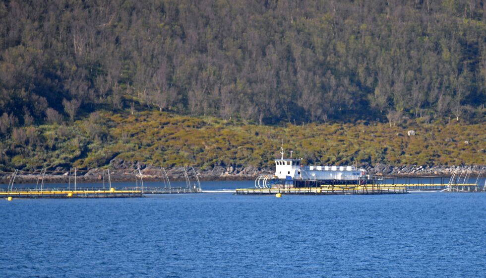 Bildet viser SalMars anlegg i Bekkarfjord sommeren 2016.
 Foto: Lars Birger Persen/arkivfoto