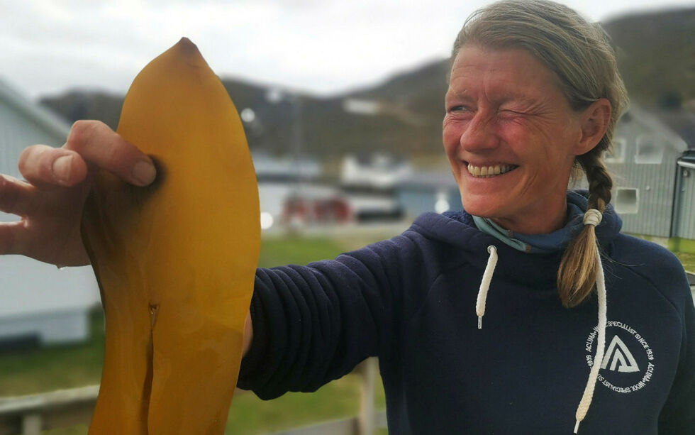 Marit Sundt har holdt kurs om tang og tare i mange år. Interessen for havets frukter er økende.
 Foto: Yngve Beddari