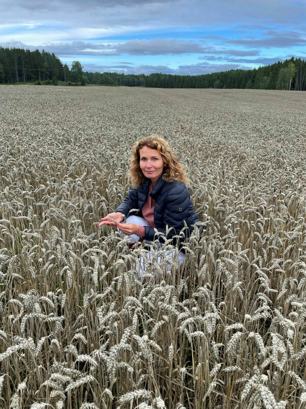 Beredskapslagring av korn må trappes opp!