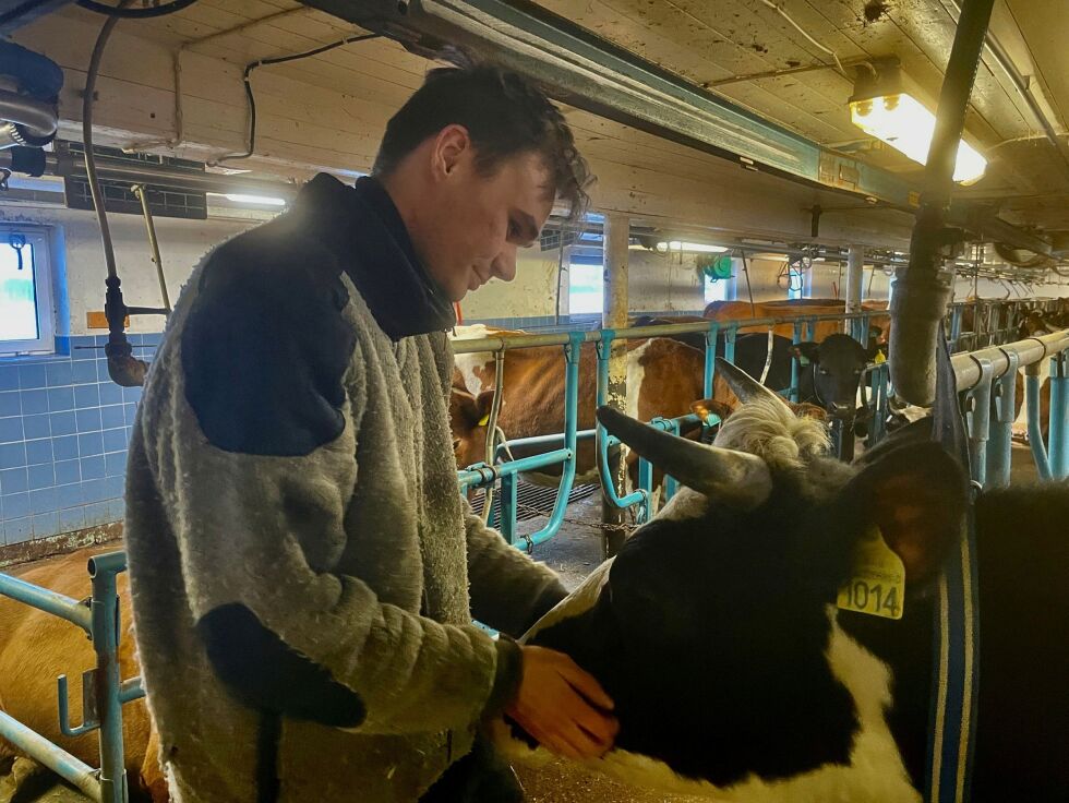 Mathias Johnsen vil bli i Austertana, og ønsker at Elkem skal få utvidet driftsområdet sitt.
 Foto: Birgitte Wisur Olsen