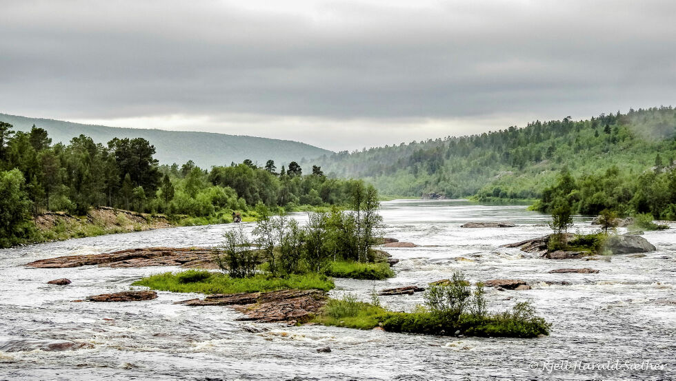 Stabburselva var et godt alternativ i fjor. Etter flere års forbud mot fiske i Deatnu.
 Foto: Kjell H. Sæther