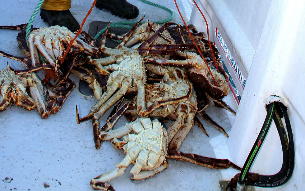 Myndighetene har økt krabbekvota foran neste års fiske.