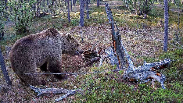 Lokal deltakelse er avgjørende