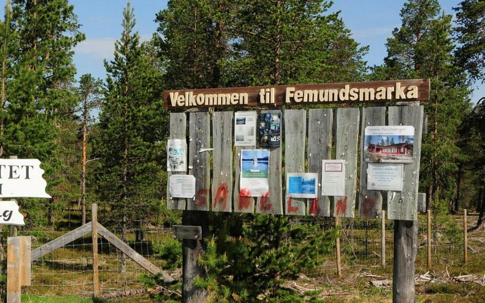 Ikke alle er velkommmen i Femundsmarka. Foto: Stein Torger Svala
 Foto: Stein Torger Svala