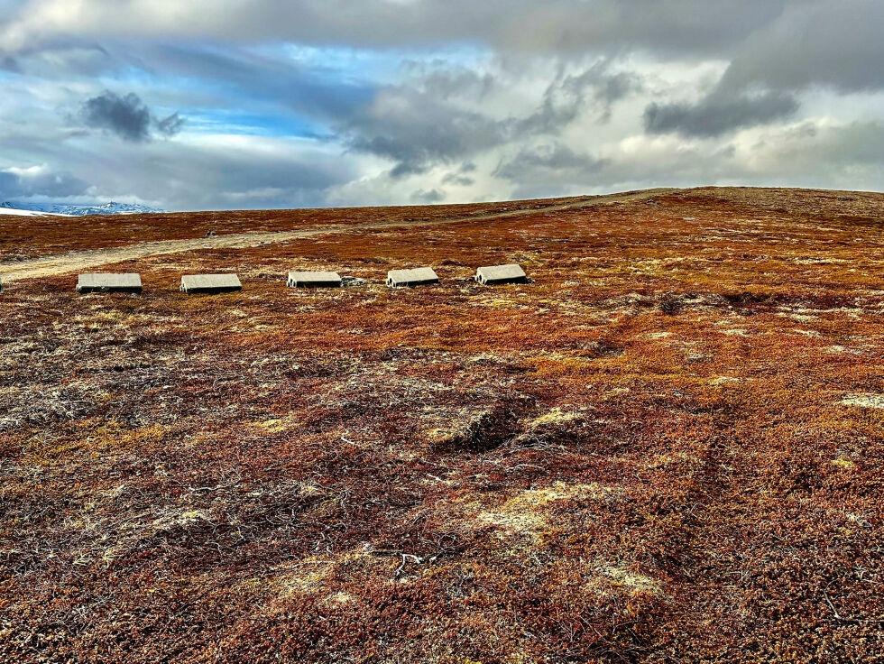 I flatt terreng er ikke veisperringen noe reelt hinder, selv om sperringene er lagt et godt stykke ut fra kjøresporet på begge sider.
 Foto: Jan Olsen