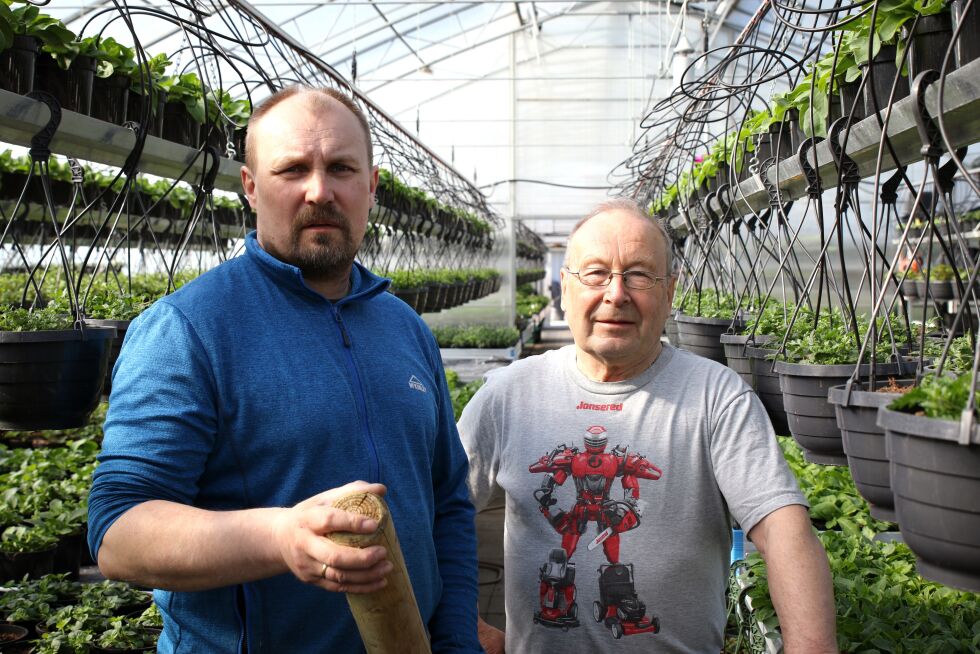 Daglig leder Audun og Anton Falle sørger for at veggene i drivhuset er tette etter snesmeltingen.
 Foto: Silje L Kvammen