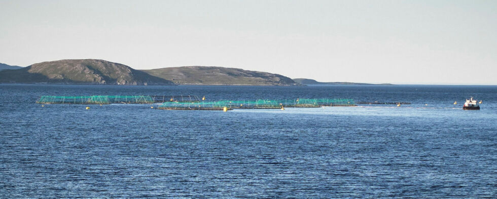 Nordkapp er den kommunen i Finnmark hvor Grieg Seafood Finnmark har flest konsesjoner for å drive med lakseoppdrett.
 Foto: Geir Johansen