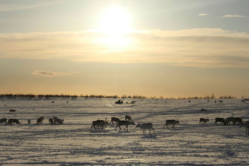 Illustrasjonsfoto: Elise Embla Scheele