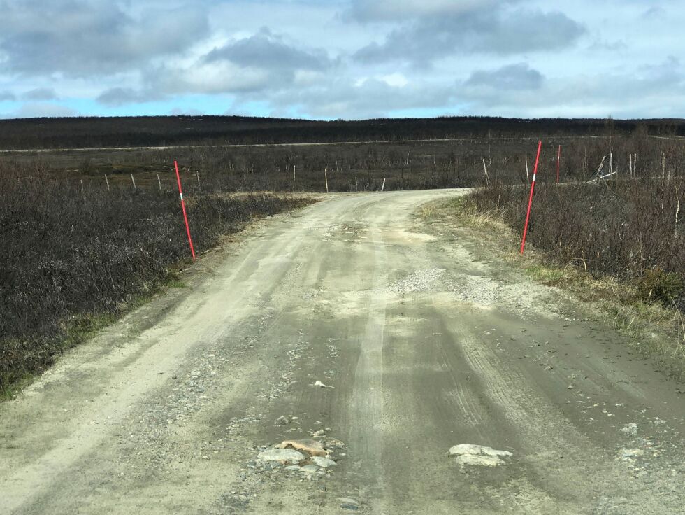 Det råder ingen tvil om at denne kommunale veien trenger vedlikehold etter 44 år, og nå skjer det, lover ordfører Svein Atle Somby.
 Foto: Stein Torger Svala