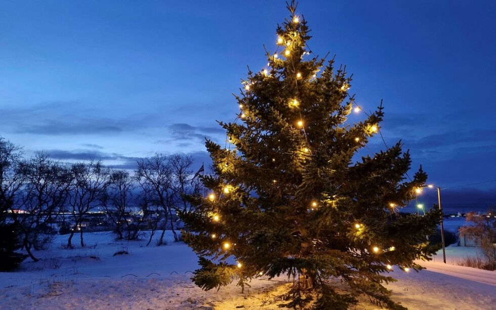 Juletreet på Kirkegårdsbakken i Vestre Jakobselv ble løftet vekk fra kirkegården der den hadde vokst seg så stor at greinene dekket over flere gravsteiner.
FOTO: TORBJØRN ITTELIN