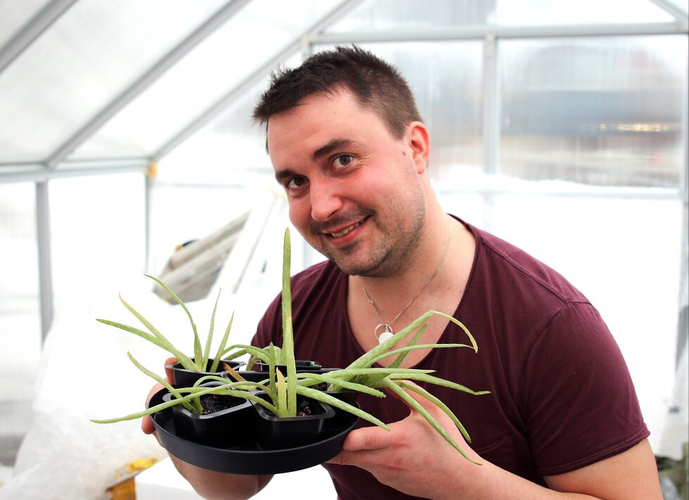 Her tilbringes mye tid når han ikke er på jobb eller til fjells på fisketur. Aloe vera-plantene har nok fått det litt kaldt, men er ellers noe han ofte gir bort i gaver.
 Foto: Silje L Kvammen