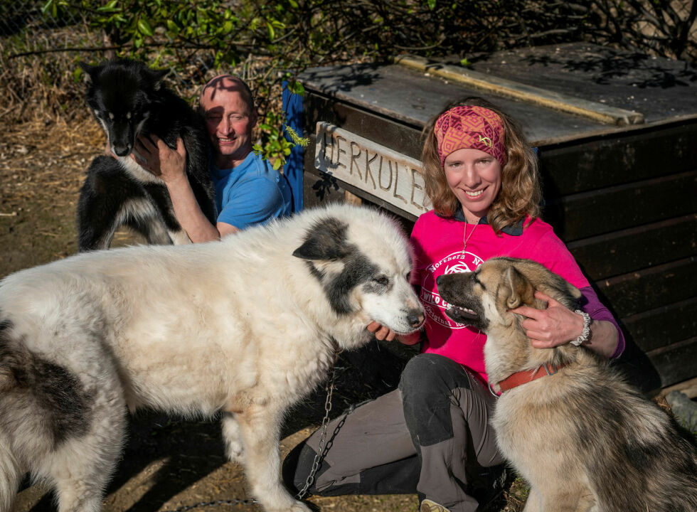 Herkules sikrer at alle hundene er klar over sin plass i flokken.
 Foto: Karolina Ulfig