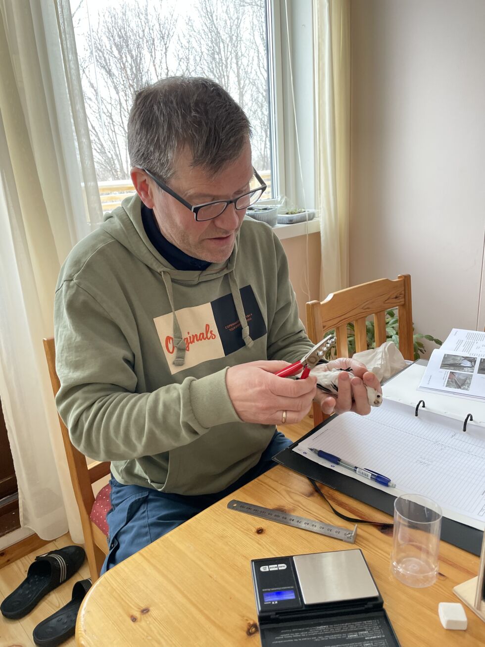 Jo Inge Vidal har brukt påsken til å ringmerke snespurv.
 Foto: Privat