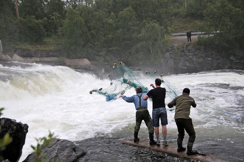 Om ikke himmelens sluser åpner seg på noen dager, vil det tradisjonelle käpäläfisket starte førstkommende mandag i Neiden.
 Foto: Hallgeir Henriksen (arkiv)