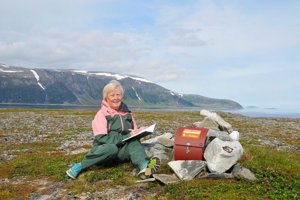 Ingrid Mikkelsen går gjerne og mye på tur. Her har hun nådd toppen av Veidnesholmen. – Jeg liker åpent landskap, og jeg må si at denne turen er en av de fineste perlene. ALLE FOTO: HANNE KLEMETSEN
