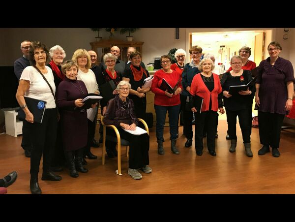 Populært seniorkor