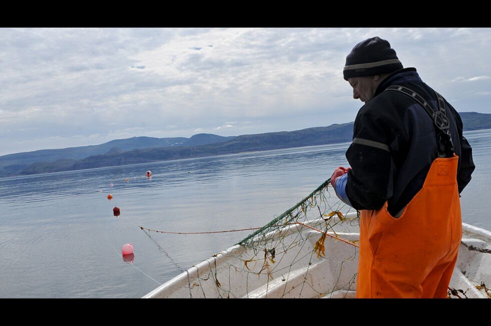 På nytt får de allerede utsatt sjølaksfiserne blø og det varsles kutt i fisketider kommende sommer.
 Foto: Tom Hardy (arkiv)