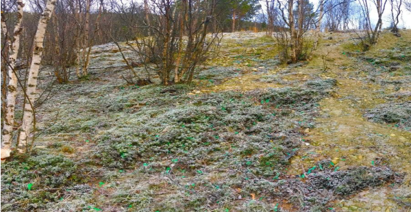 Må betale 100.000 ­kroner for plastforurensing