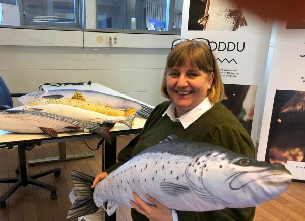 Bygdevekstavtale for Vestre Varanger – en mulighet for Tana kommune