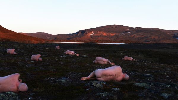 Hederlig omtale til Rognli