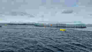 Etablerer nytt system for havbruk