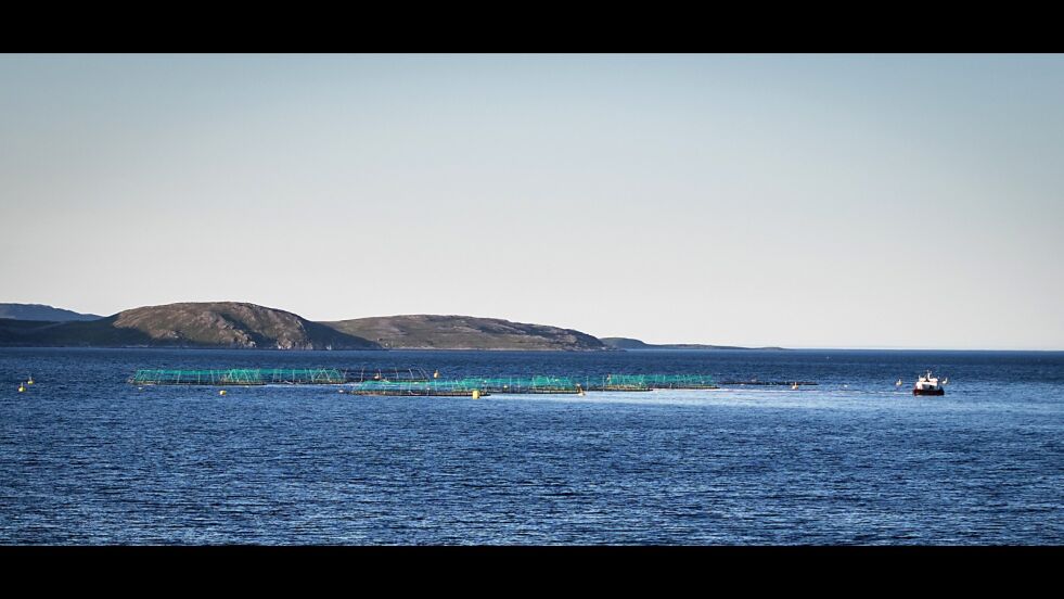 Nordkapp kommune har fått til sammen 24 millioner kroner fordi man har oppdrettsanlegg i kommunen, som her hvor Grieg Seafood driver med lakseoppdrett i Vedbotn.
 Foto: Geir Johansen