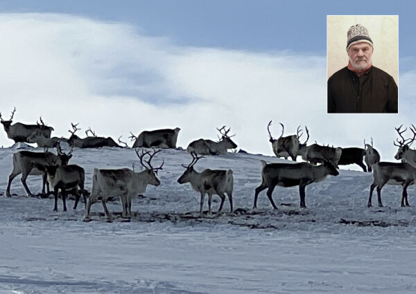 Utvikling eller undergang for reindriften?