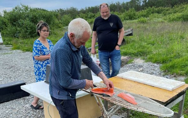 Laks i sjøen, men lite i elvene