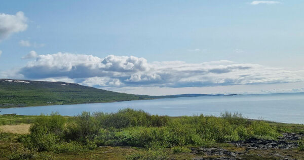 Vadsø sier nei til oppdrettsanlegg