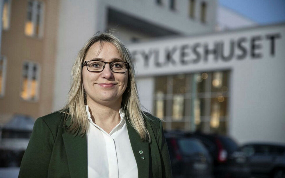 – Det er gle­de­lig å se at så mange kom­mu­ner og fri­vil­lige lag og for­en­in­ger ønsker å skape gode kul­tur­are­naer i sine nær­miljø, sier fylkesråd Karin Eriksen.
