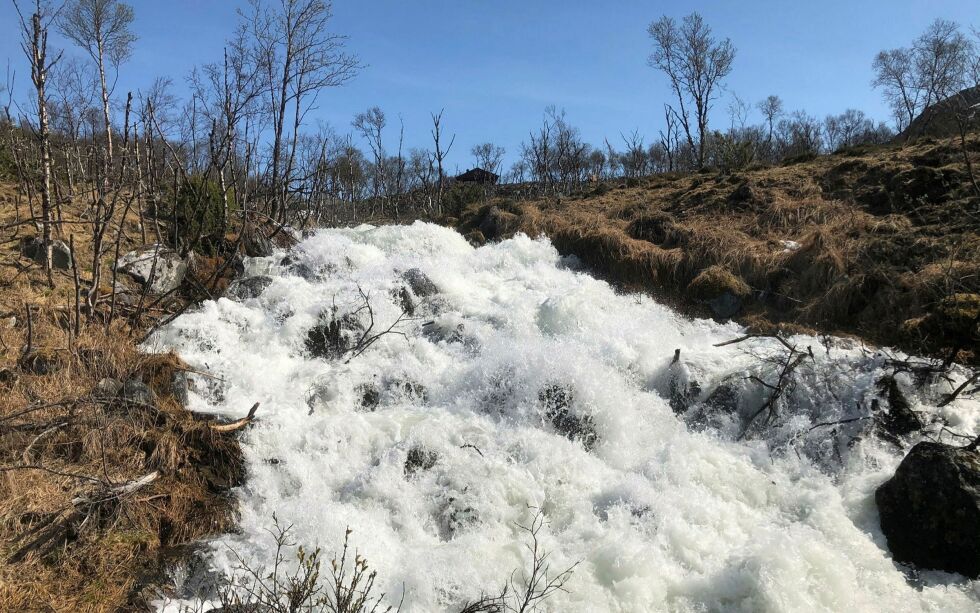 Ikke før Vággebekken møter havet får den fart på seg og kaster seg med styrke ned fossefallet ved brua, og utgjør et vakkert skue med mye vårvann. Foto: Hallgeir Henriksen