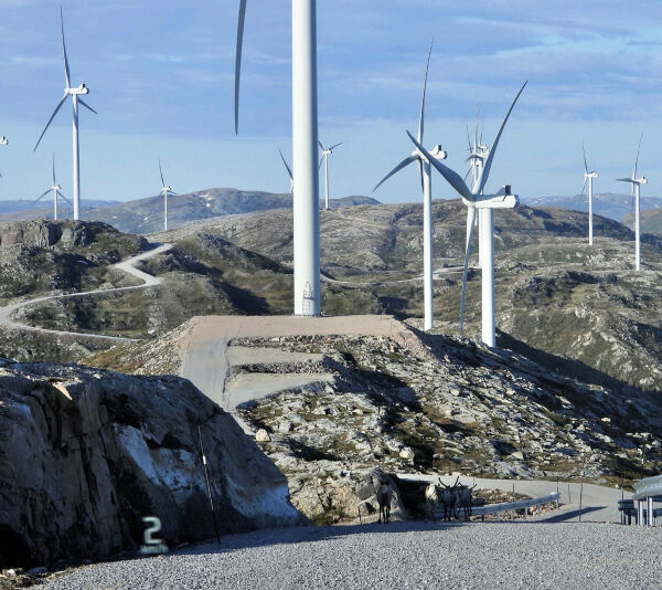 Ingen menneskerettigheter brytes på Fosen
