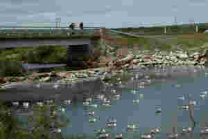 Varanger i endring – hva betyr det for oss?