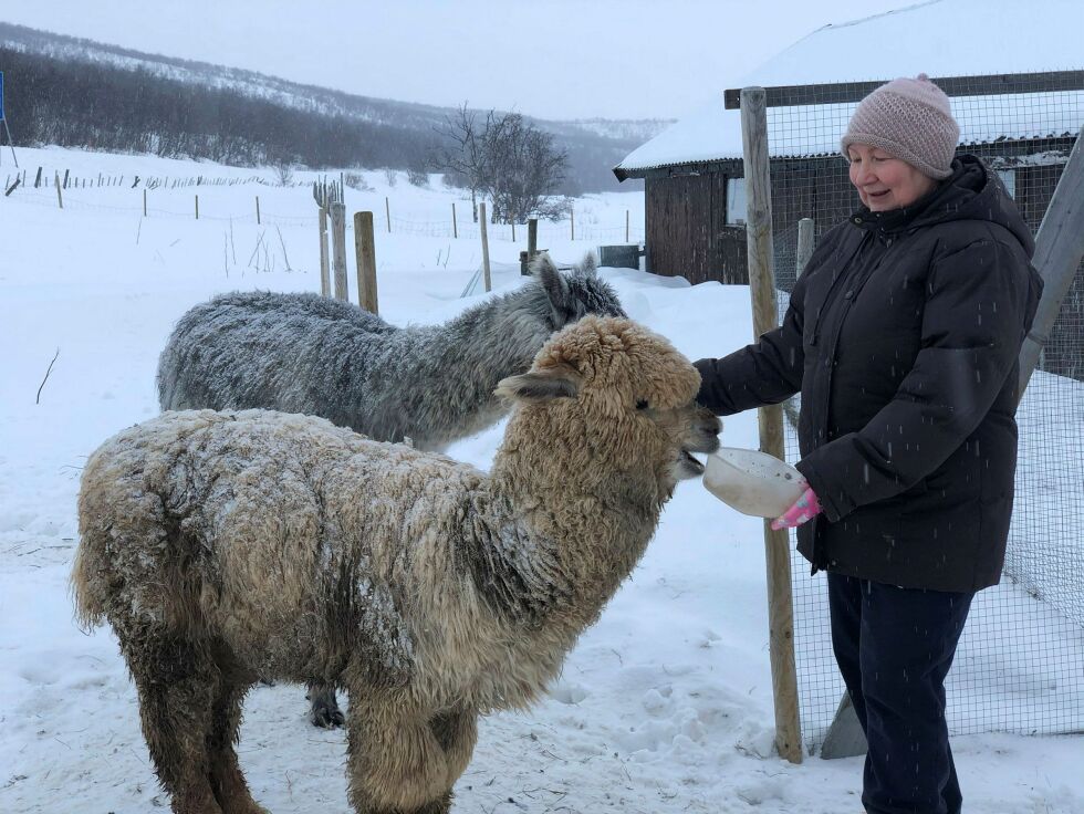 Ta­ma­ra Ra­ja­la med sine to al­pak­ka­er Lil­le­mann og Mentos.
 Foto: Birgitte Wisur Olsen