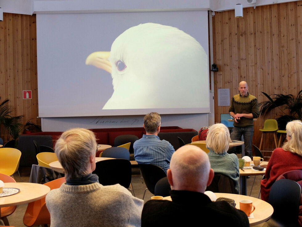 Flere tok turen til Tromsø museum for å lære mer om krykkjene som gjennom de siste åra har trukket til byen for å hekke.
 Foto: Tuva Johansen