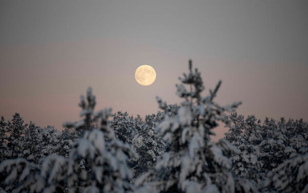 Høyesterett tause om fremtidig forvaltning av Finnmark