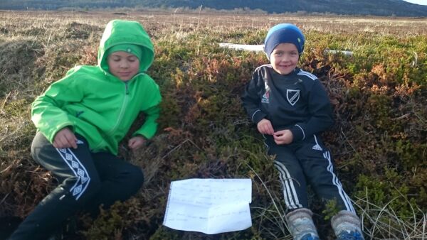 Flaskepost ga flue og laks