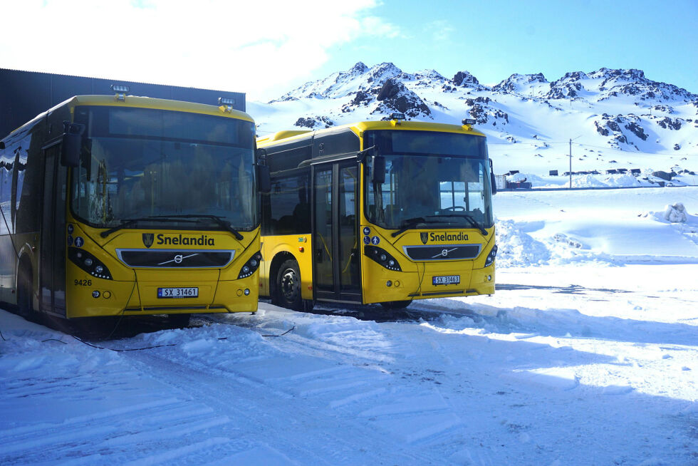 Med kun 1,5 passasjerer per avgang hadde bybussen i Honningsvåg så lavt passasjergrunnlag at det resulterte i kutt i rutetilbudet, sier Henrik Seppola Larsen.
 Foto: Geir Johansen