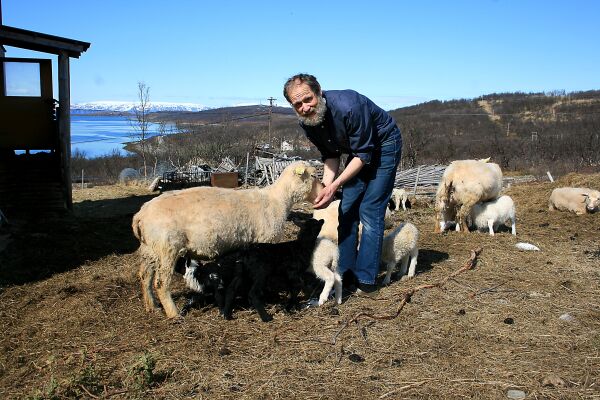 Presten og «hobbysauebonden»