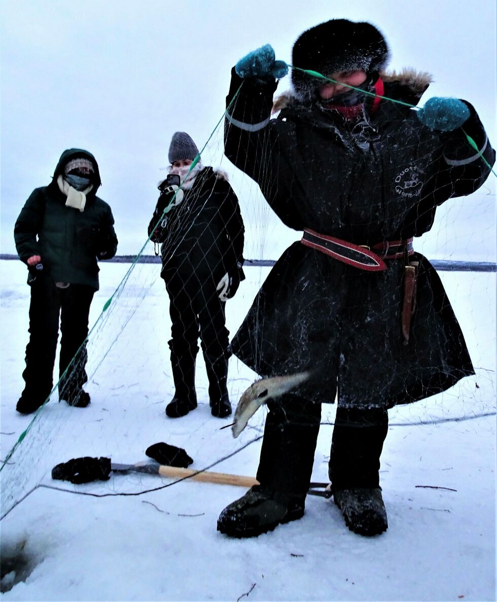 Juhán Jernsletten fra Skiippagurra, vet godt hvordan man håndterer kulda og synes det er artig å fiske med garn under isen. Særlig når man får fisk!
 Foto: Vegard Seljemo