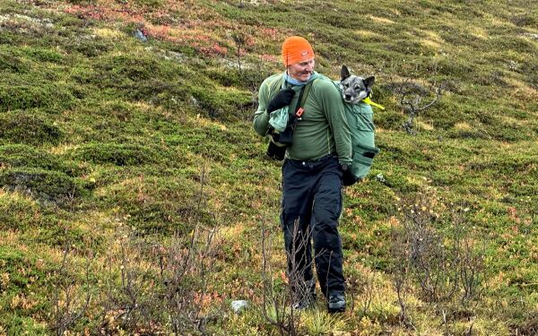 Fant stivfrossen hund og bar den ned fra fjellet