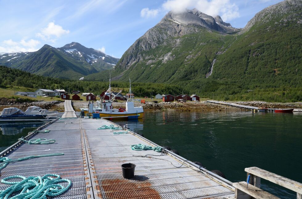 Den lulesamiske bygda Måsske/Musken idyllisk i Hellmofjorden og har ikke veiforbindelse, så båt er framkomstmiddelet her.
 Foto: Steinar Solaas