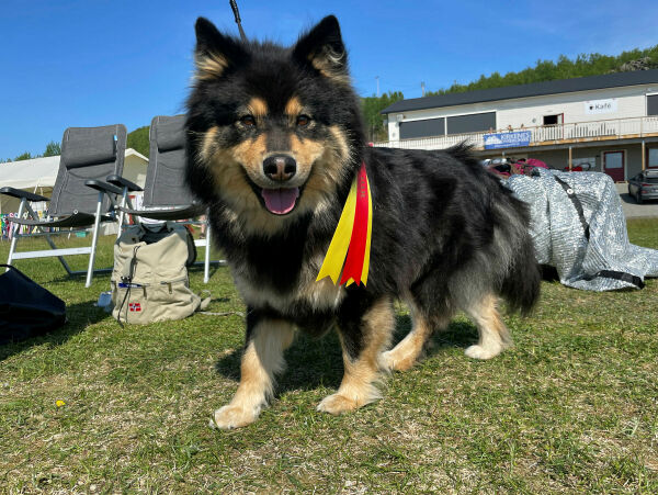 Har noen den perfekte kavaler til Idjá?