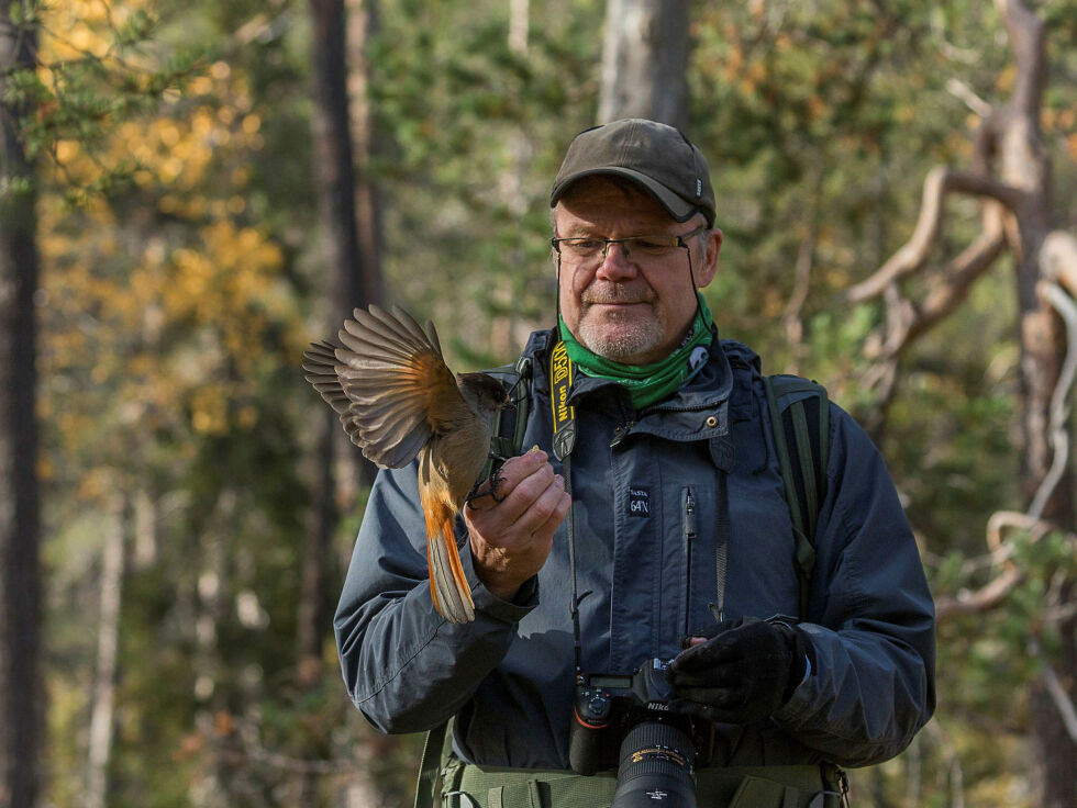 Lassi Rautiainen er lidenskapelig opptatt av foto og dyreliv. Gjennom sitt arbeid ønsker han å bringe mennesket nærmere naturen, og la flere få oppleve våre store rovdyr på nært hold. Her viser han frem en lavskrike, som også er svært populær blant turistene.
 Foto: Anne Rautiainen