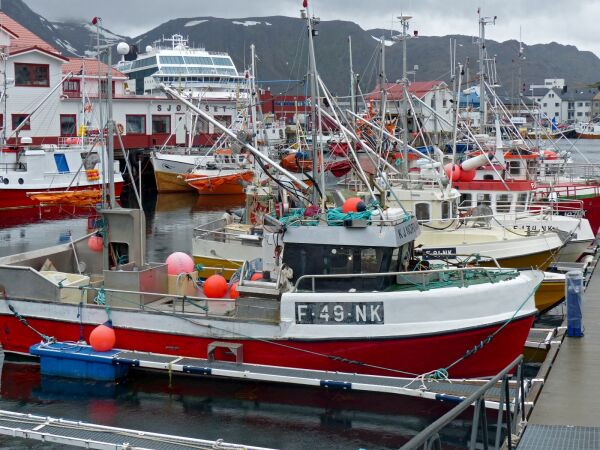 Gjør seg lekker for EU, skviser yrkesfiskerne i nord