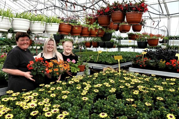 Blomsterpikene på Fagermo