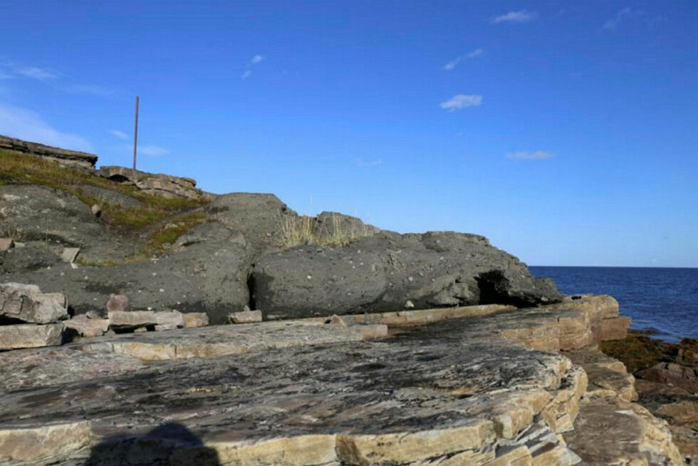 Geologen Ingvild Carstens skriver: Det er lett å forstå at dette er en gammel morene. Den forsteinede morenen (grå) ligger over et eldre lag (brunt). Legg merke til at morenelaget består av stein i mange farger og mange størrelser. Kombinasjonen sies å være enestående i verden. Den helt spesielle historien knyttet til denne morenen er at den stammer fra en tid da hele jorden antakelig var dekket av sne og is.
 Foto: Halfdan Carstens