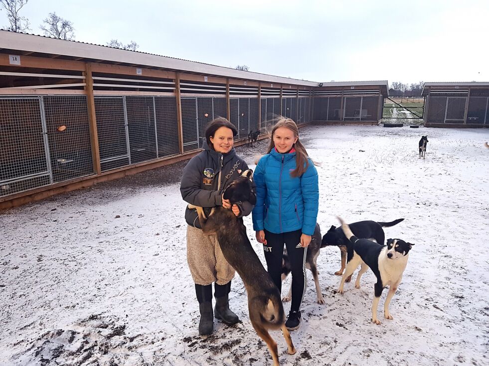 Ulrikke Balk Thomassen (til høyre) fra Harstad og Alexandra fra Stockholm i Sverige vil gjerne bli elever ved hundekjørerlinja på Tana videregående skole. Her får Ulrikke omvisning i hundegården av Helene Sørensen ( til venstre) som går andre året på linja for hundekjøring. 
– Jeg stortrives og kan anbefale Ulrikke å begynne her, sier Helene Sørensen fra Bærum. Alexandra kunne av ulike årsaker ikke være med på bildet.
 Foto: Tom Hardy